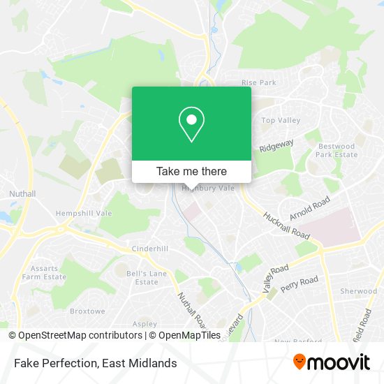 Fake Perfection map