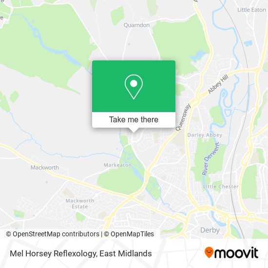 Mel Horsey Reflexology map