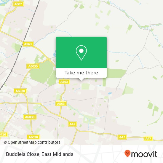 Buddleia Close map