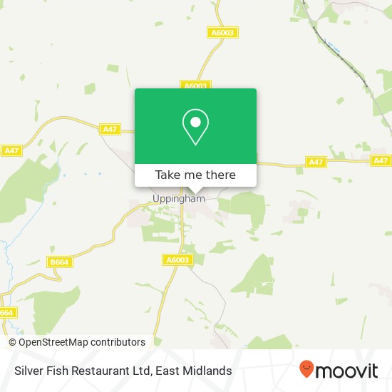 Silver Fish Restaurant Ltd map