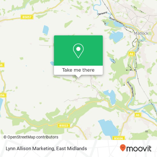 Lynn Allison Marketing map