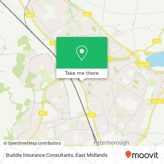 Buddle Insurance Consultants map