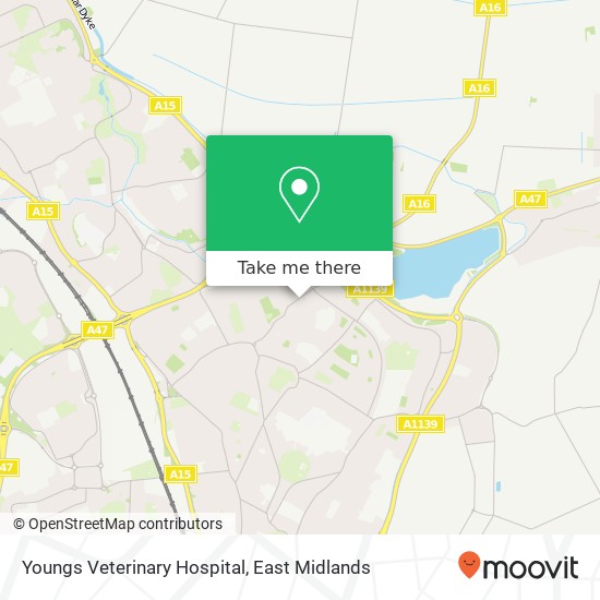 Youngs Veterinary Hospital map