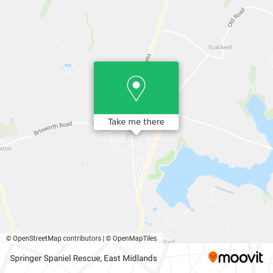 Springer Spaniel Rescue map