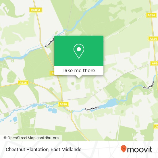 Chestnut Plantation map