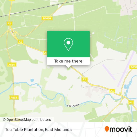 Tea Table Plantation map