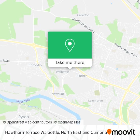 Hawthorn Terrace Walbottle map