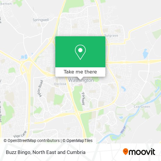 Buzz Bingo map