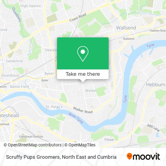 Scruffy Pups Groomers map