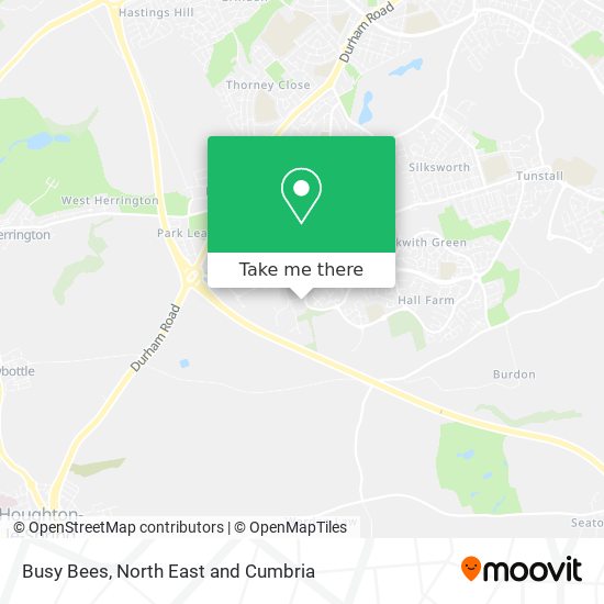 Busy Bees map