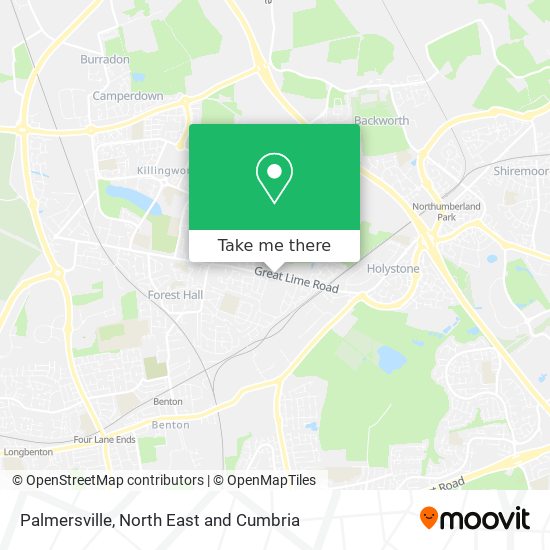 Palmersville map