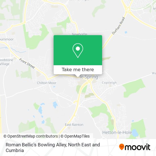 Roman Bellic's Bowling Alley map