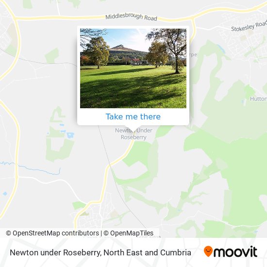 Newton under Roseberry map