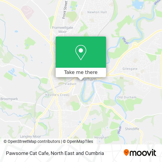 Pawsome Cat Cafe map