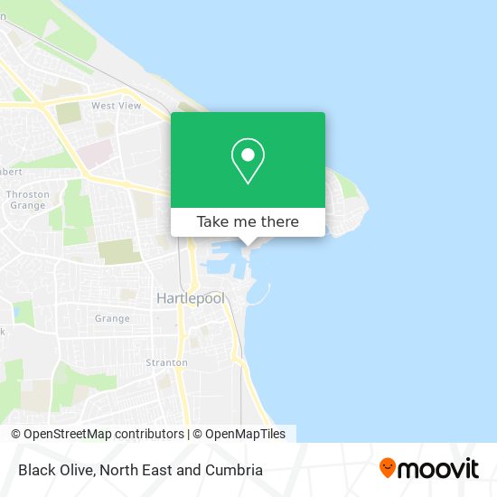 Black Olive map