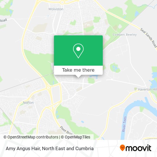 Amy Angus Hair map