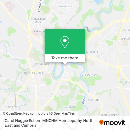 Carol Haggie Rshom MNCHM Homeopathy map
