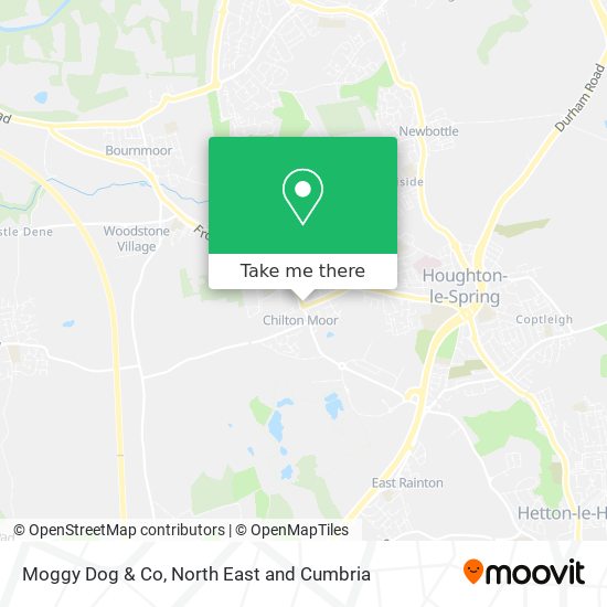 Moggy Dog & Co map