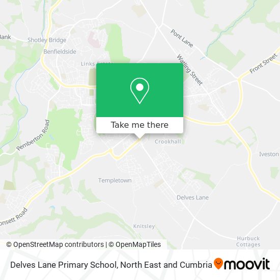 Delves Lane Primary School map