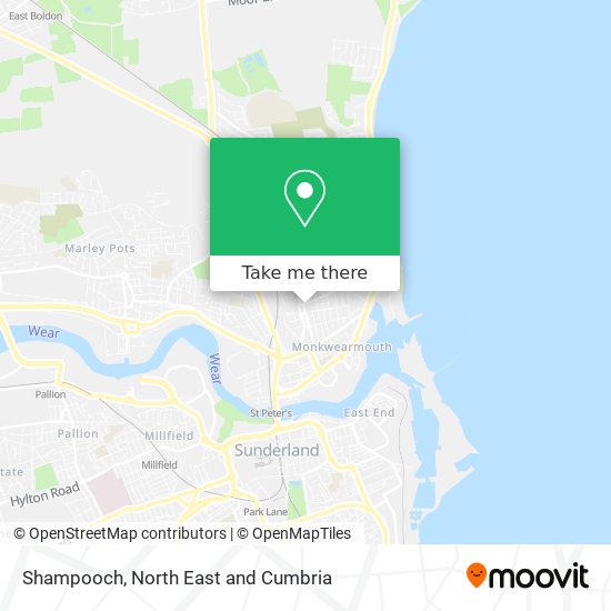 Shampooch map