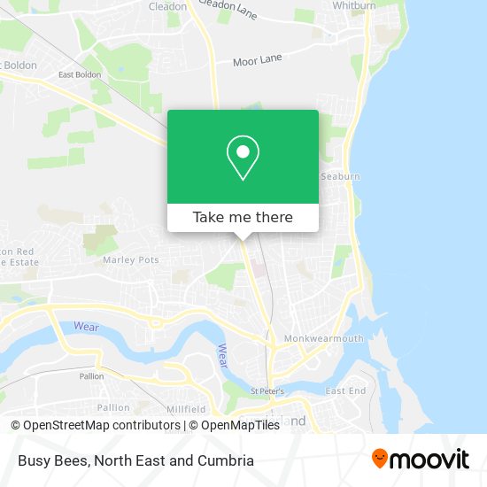 Busy Bees map