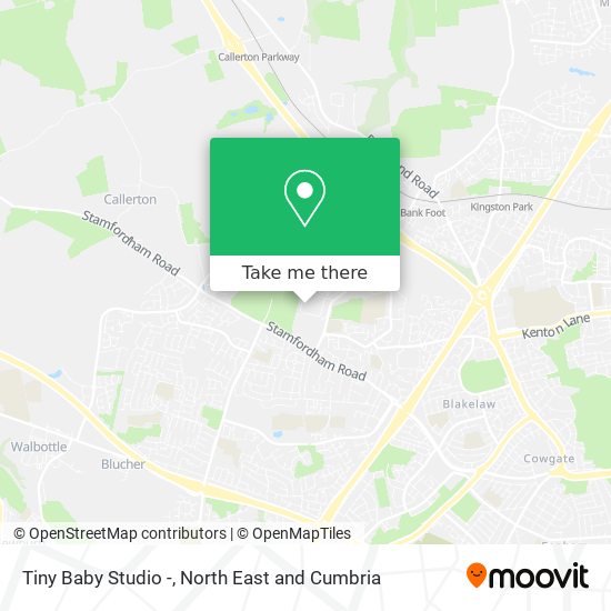 Tiny Baby Studio - map