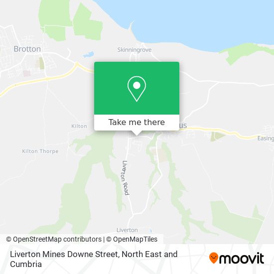 Liverton Mines Downe Street map