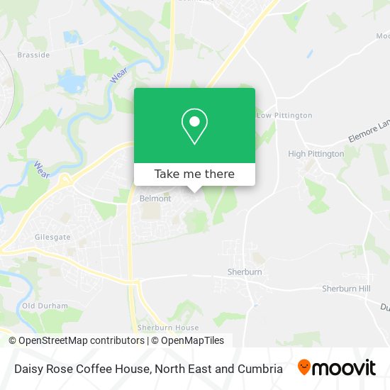 Daisy Rose Coffee House map