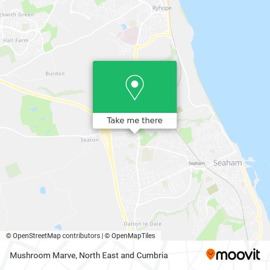 Mushroom Marve map