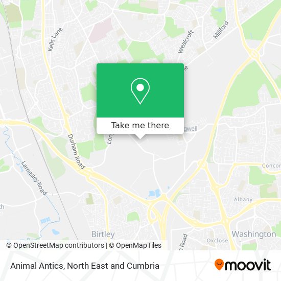 Animal Antics map