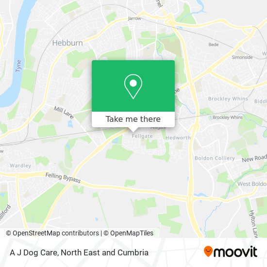 A J Dog Care map