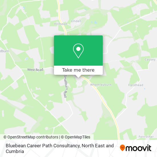 Bluebean Career Path Consultancy map