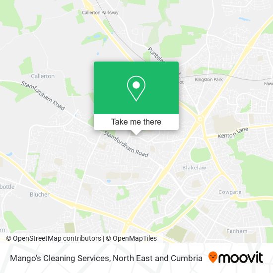 Mango's Cleaning Services map
