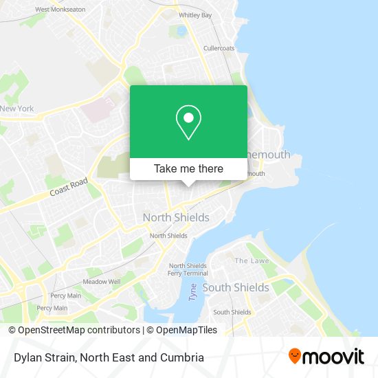 Dylan Strain map