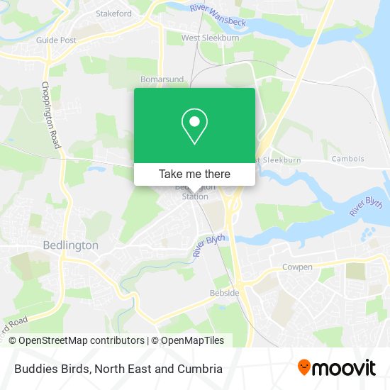 Buddies Birds map