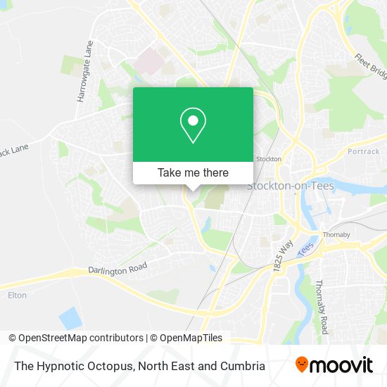 The Hypnotic Octopus map