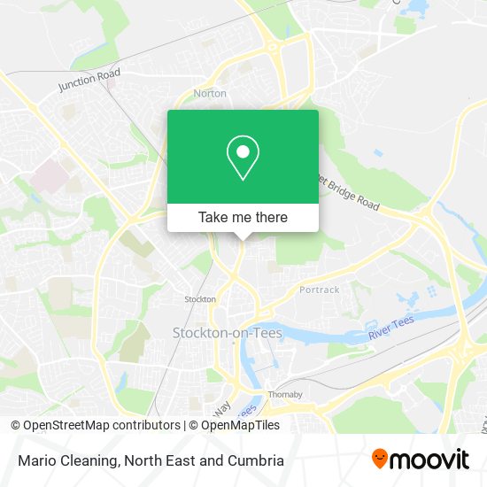 Mario Cleaning map