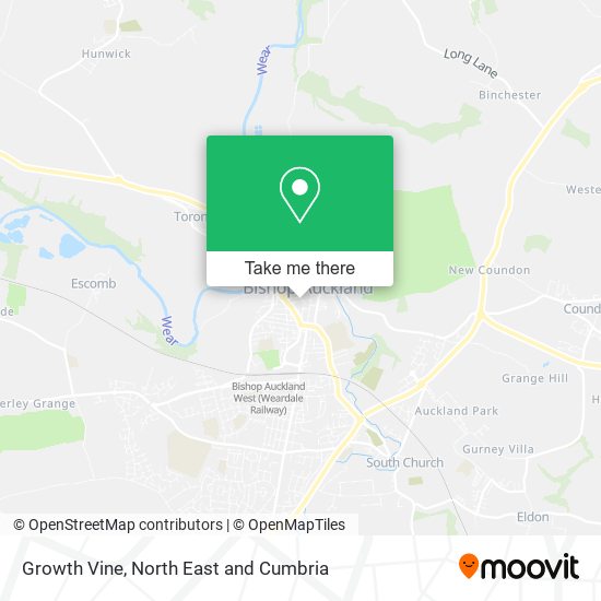 Growth Vine map