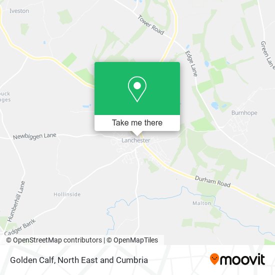 Golden Calf map