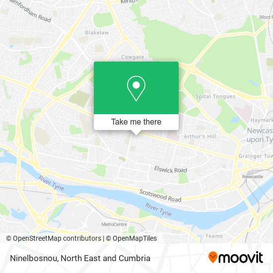 Ninelbosnou map