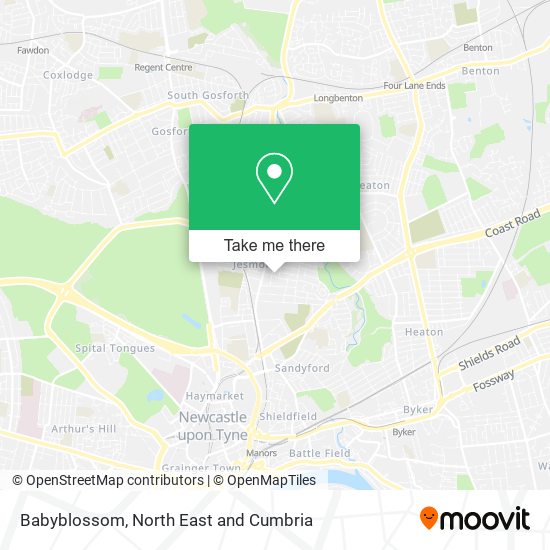 Babyblossom map