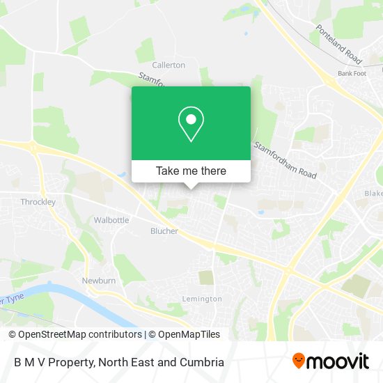 B M V Property map
