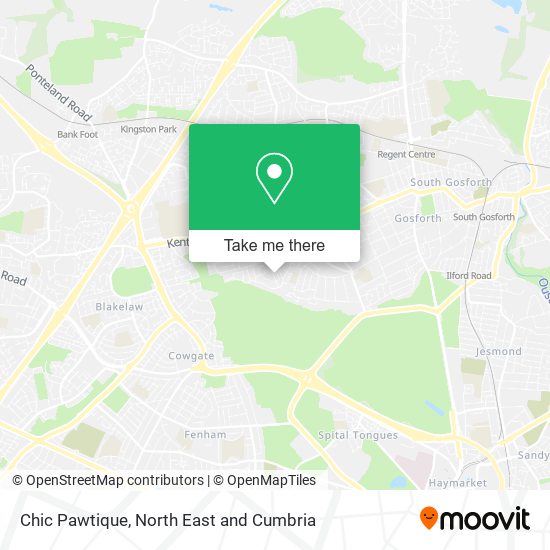 Chic Pawtique map
