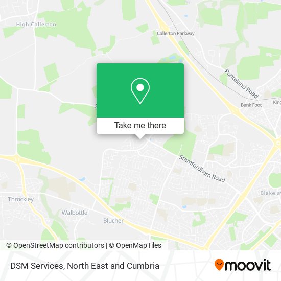 DSM Services map