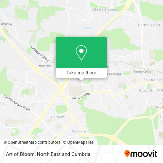 Art of Bloom map