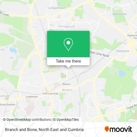 Branch and Bone map