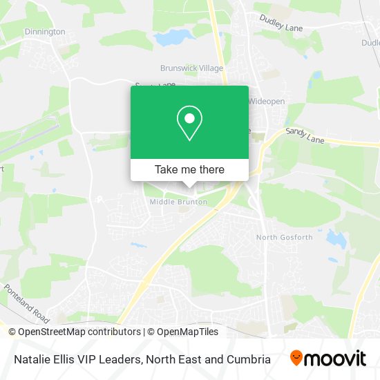 Natalie Ellis VIP Leaders map