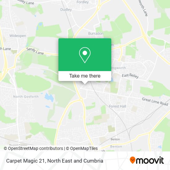 Carpet Magic 21 map