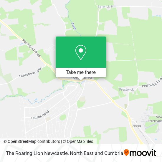 The Roaring Lion Newcastle map