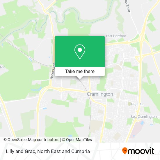 Lilly and Grac map